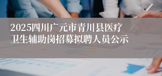 2025四川广元市青川县医疗卫生辅助岗招募拟聘人员公示