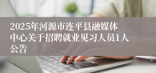 2025年河源市连平县融媒体中心关于招聘就业见习人员1人公告