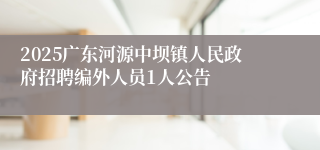 2025广东河源中坝镇人民政府招聘编外人员1人公告