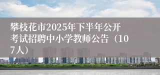 攀枝花市2025年下半年公开考试招聘中小学教师公告（107人）