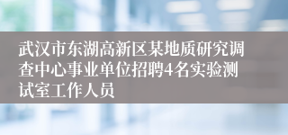 武汉市东湖高新区某地质研究调查中心事业单位招聘4名实验测试室工作人员