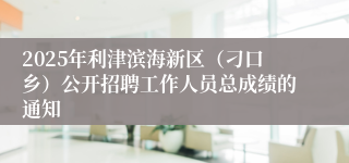 2025年利津滨海新区（刁口乡）公开招聘工作人员总成绩的通知