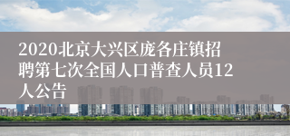 2020北京大兴区庞各庄镇招聘第七次全国人口普查人员12人公告