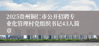 2025贵州铜仁市公开招聘专业化管理村党组织书记43人简章