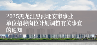 2025黑龙江黑河北安市事业单位招聘岗位计划调整有关事宜的通知
