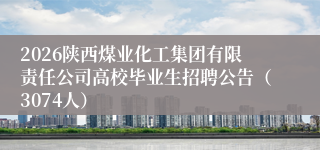 2026陕西煤业化工集团有限责任公司高校毕业生招聘公告（3074人）