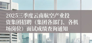 2025三季度云南航空产业投资集团招聘（集团各部门、各机场岗位）面试成绩查询通知