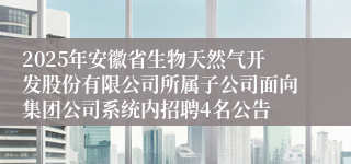 2025年安徽省生物天然气开发股份有限公司所属子公司面向集团公司系统内招聘4名公告