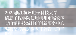2025浙江杭州电子科技大学信息工程学院使用杭州市临安区青山湖科技城科研创新服务中心编制招聘高层次人才公告（第二批）