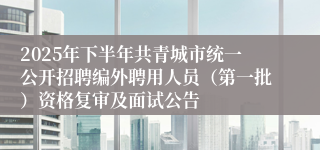 2025年下半年共青城市统一公开招聘编外聘用人员（第一批）资格复审及面试公告