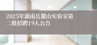 2025年湖南岳麓山实验室第二批招聘19人公告
