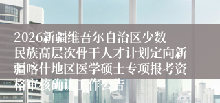 2026新疆维吾尔自治区少数民族高层次骨干人才计划定向新疆喀什地区医学硕士专项报考资格审核确认工作公告