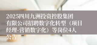 2025四川九洲投资控股集团有限公司招聘数字化转型（项目经理-营销数字化）等岗位4人公告