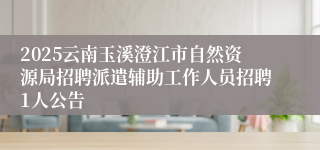 2025云南玉溪澄江市自然资源局招聘派遣辅助工作人员招聘1人公告