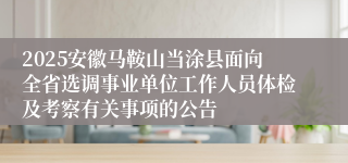 2025安徽马鞍山当涂县面向全省选调事业单位工作人员体检及考察有关事项的公告
