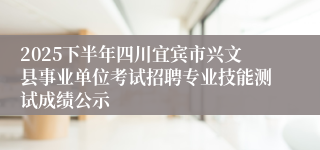 2025下半年四川宜宾市兴文县事业单位考试招聘专业技能测试成绩公示