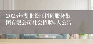 2025年湖北长江科创服务集团有限公司社会招聘4人公告