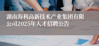 湖南海利高新技术产业集团有限公司2025年人才招聘公告