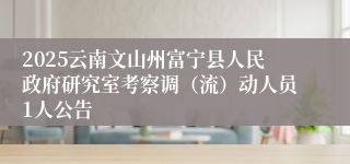 2025云南文山州富宁县人民政府研究室考察调（流）动人员1人公告