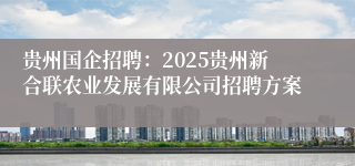 贵州国企招聘：2025贵州新合联农业发展有限公司招聘方案