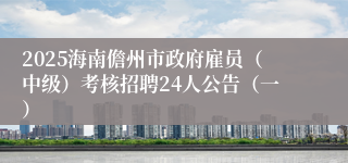 2025海南儋州市政府雇员（中级）考核招聘24人公告（一）