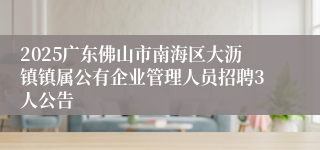 2025广东佛山市南海区大沥镇镇属公有企业管理人员招聘3人公告