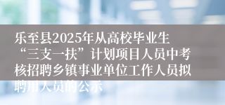 乐至县2025年从高校毕业生“三支一扶”计划项目人员中考核招聘乡镇事业单位工作人员拟聘用人员的公示
