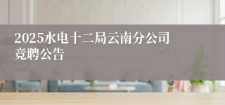 2025水电十二局云南分公司竞聘公告