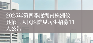 2025年第四季度湖南株洲攸县第三人民医院见习生招募11人公告