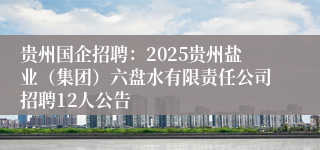 贵州国企招聘：2025贵州盐业（集团）六盘水有限责任公司招聘12人公告