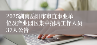 2025湖南岳阳市市直事业单位及产业园区集中招聘工作人员37人公告