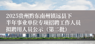 2025贵州黔东南州镇远县下半年事业单位专项招聘工作人员拟聘用人员公示（第二批）