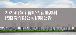 2025山东宁德时代新能源科技股份有限公司招聘公告