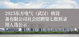 2025东方电气(武汉)核设备有限公司社会招聘第七批拟录用人选公示