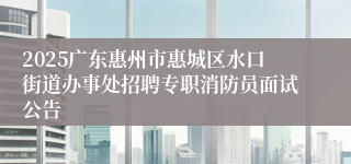 2025广东惠州市惠城区水口街道办事处招聘专职消防员面试公告