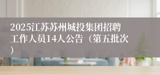 2025江苏苏州城投集团招聘工作人员14人公告(第五批次)