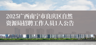 2025广西南宁市良庆区自然资源局招聘工作人员1人公告