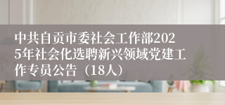 中共自贡市委社会工作部2025年社会化选聘新兴领域党建工作专员公告（18人）