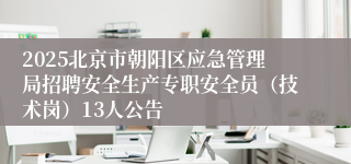 2025北京市朝阳区应急管理局招聘安全生产专职安全员（技术岗）13人公告