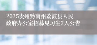 2025贵州黔南州荔波县人民政府办公室招募见习生2人公告