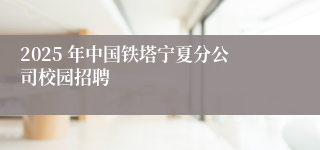 2025 年中国铁塔宁夏分公司校园招聘
