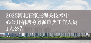 2025河北石家庄海关技术中心公开招聘劳务派遣类工作人员1人公告