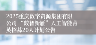 2025重庆数字资源集团有限公司 “数智新雁”人工智能菁英招募20人计划公告