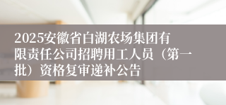 2025安徽省白湖农场集团有限责任公司招聘用工人员（第一批）资格复审递补公告