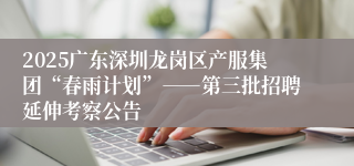 2025广东深圳龙岗区产服集团“春雨计划”――第三批招聘延伸考察公告