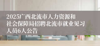 2025广西北流市人力资源和社会保障局招聘北流市就业见习人员6人公告