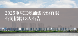 2025重庆三峡油漆股份有限公司招聘13人公告