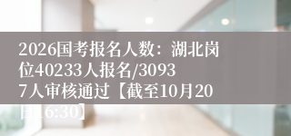 2026国考报名人数：湖北岗位40233人报名/30937人审核通过【截至10月20日16:30】