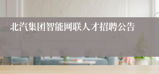 北汽集团智能网联人才招聘公告
