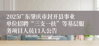 2025广东肇庆市封开县事业单位招聘“三支一扶”等基层服务项目人员11人公告 
